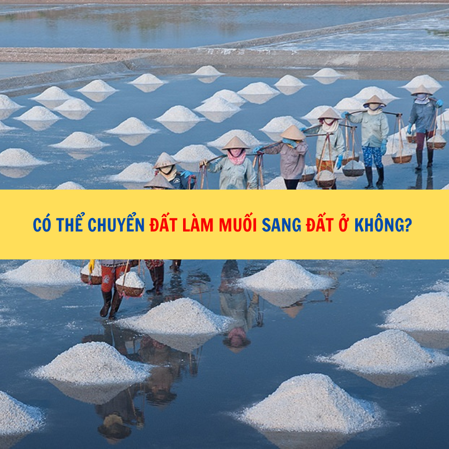 C&oacute; thể chuyển đất l&agrave;m muối sang đất ở kh&ocirc;ng?
