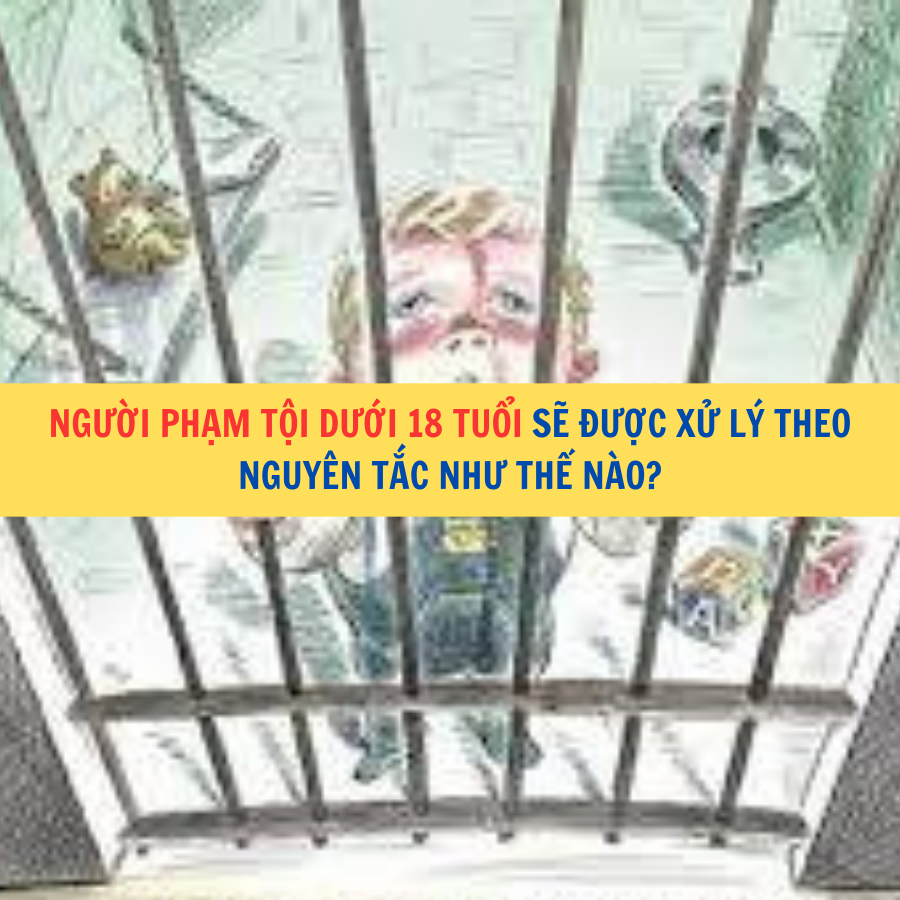 Người phạm tội dưới 18 tuổi sẽ được xử lý theo nguyên tắc như thế nào?