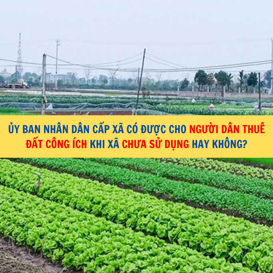 Ủy ban nh&acirc;n d&acirc;n cấp x&atilde; c&oacute; được cho người d&acirc;n thu&ecirc; đất c&ocirc;ng &iacute;ch khi x&atilde; chưa sử dụng hay kh&ocirc;ng?