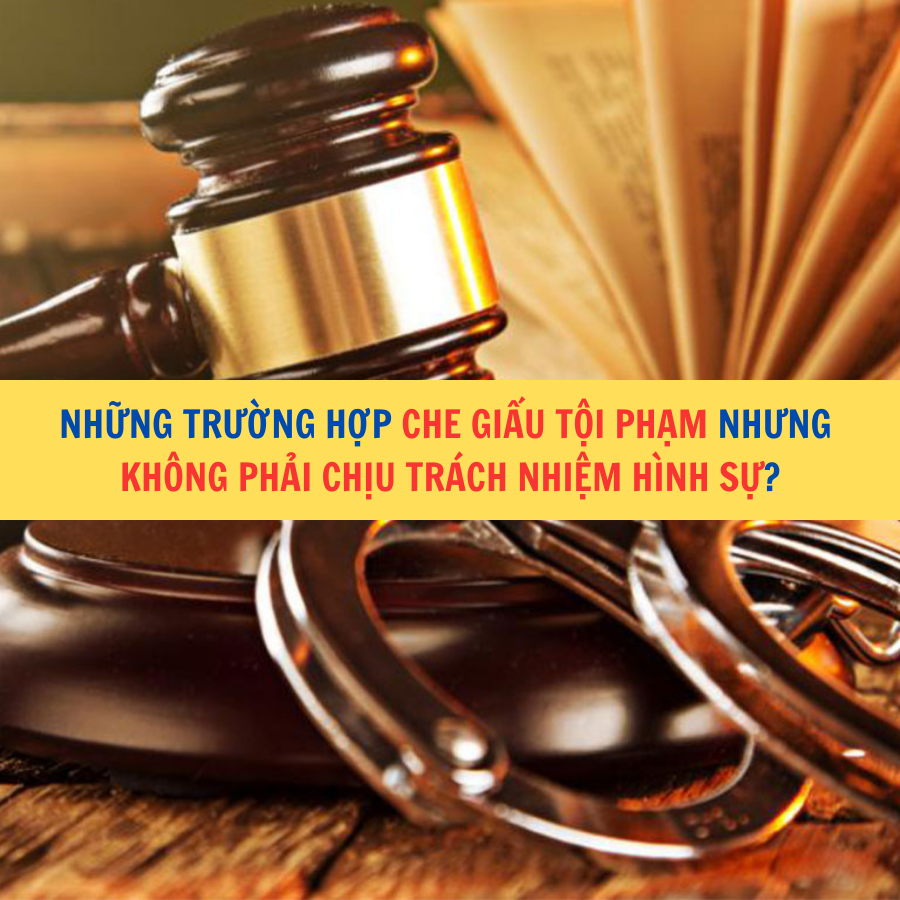 Những trường hợp che giấu tội phạm nhưng không phải chịu trách nhiệm hình sự?