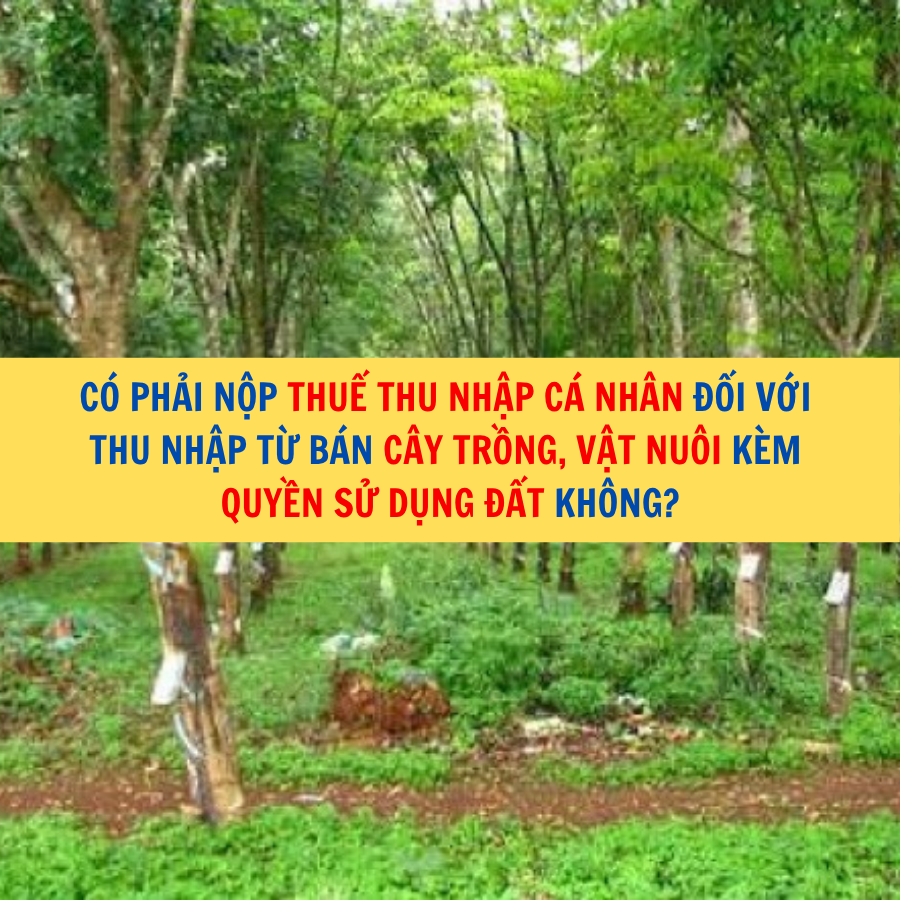 Có phải nộp thuế thu nhập cá nhân đối với thu nhập từ bán cây trồng, vật nuôi kèm quyền sử dụng đất không?
