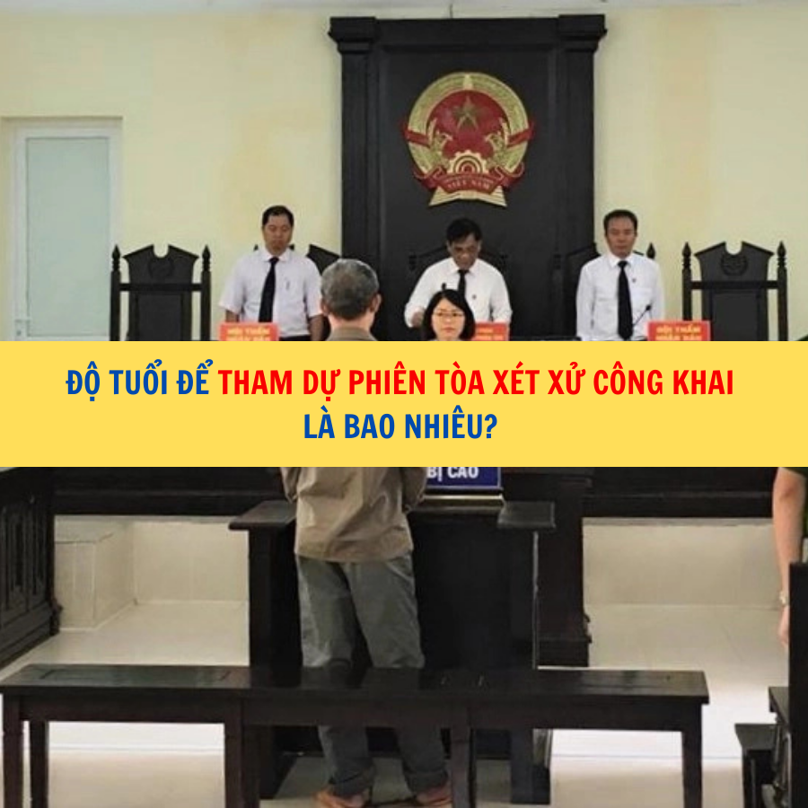 Độ tuổi để tham dự phi&ecirc;n t&ograve;a x&eacute;t xử c&ocirc;ng khai l&agrave; bao nhi&ecirc;u?&nbsp;