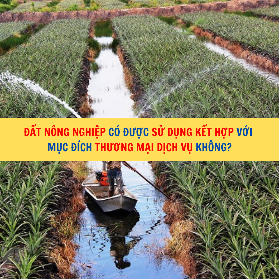 Đất nông nghiệp có được sử dụng kết hợp với mục đích thương mại dịch vụ không?