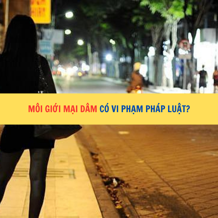  Môi giới mại dâm có vi phạm pháp luật?