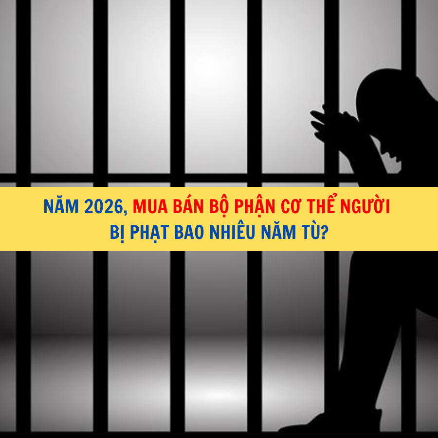 Năm 2026, mua b&aacute;n bộ phận cơ thể người bị phạt bao nhi&ecirc;u năm t&ugrave;?