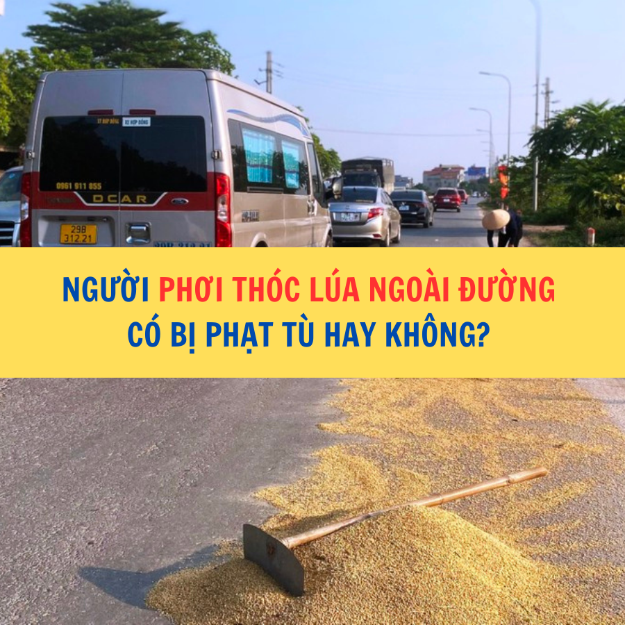 Người phơi thóc lúa ngoài đường có bị phạt tù hay không?