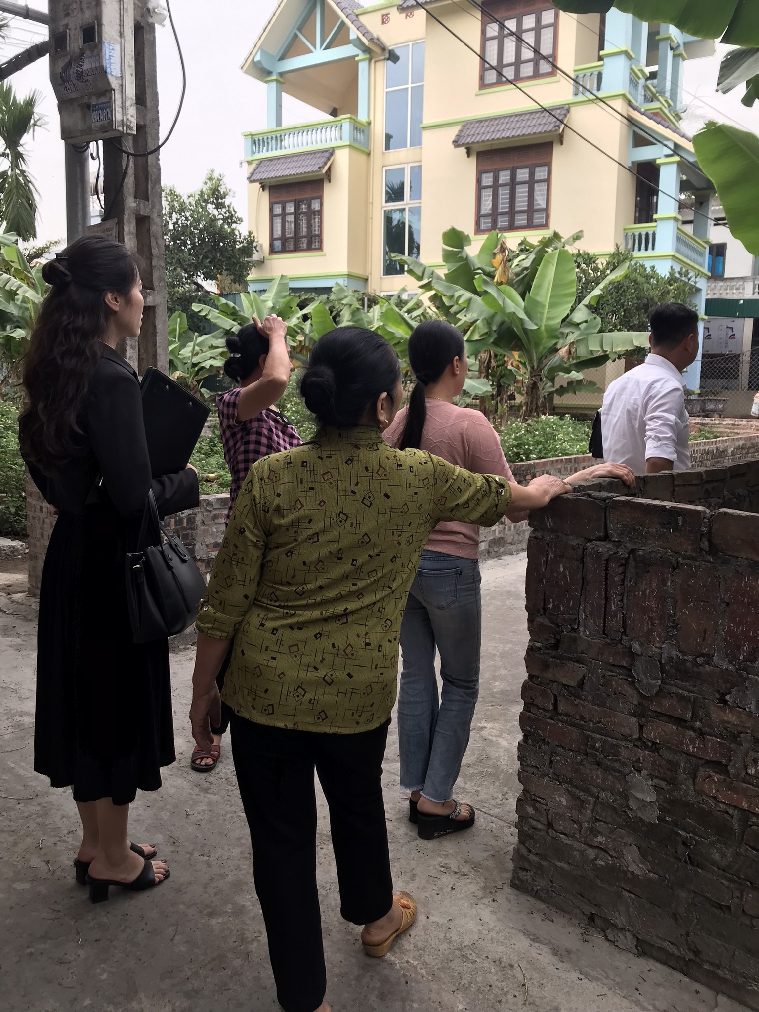 Luật sư và hành nghề