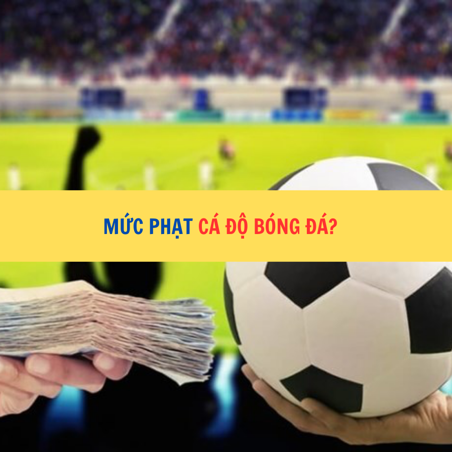 Mức phạt cá độ bóng đá?