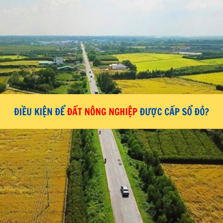 Điều kiện để đất nông nghiệp được cấp sổ đỏ?