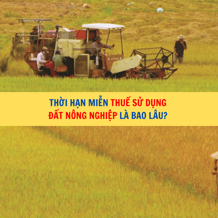 Thời hạn miễn thuế sử dụng đất nông nghiệp là bao lâu?