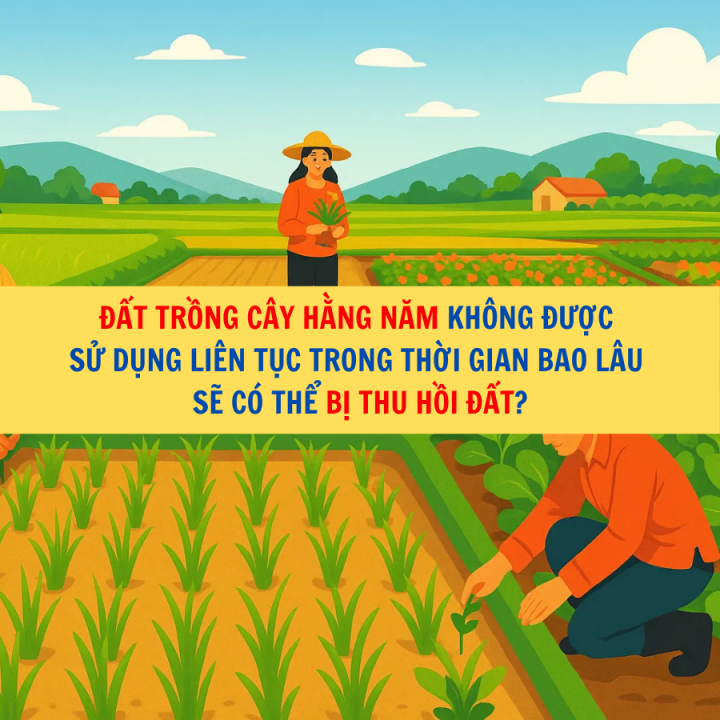 Đất trồng cây hằng năm không được sử dụng liên tục trong thời gian bao lâu sẽ có thể bị thu hồi đất?