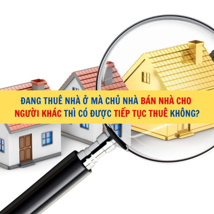 Đang thuê nhà ở mà chủ nhà bán nhà cho người khác thì có được tiếp tục thuê không?