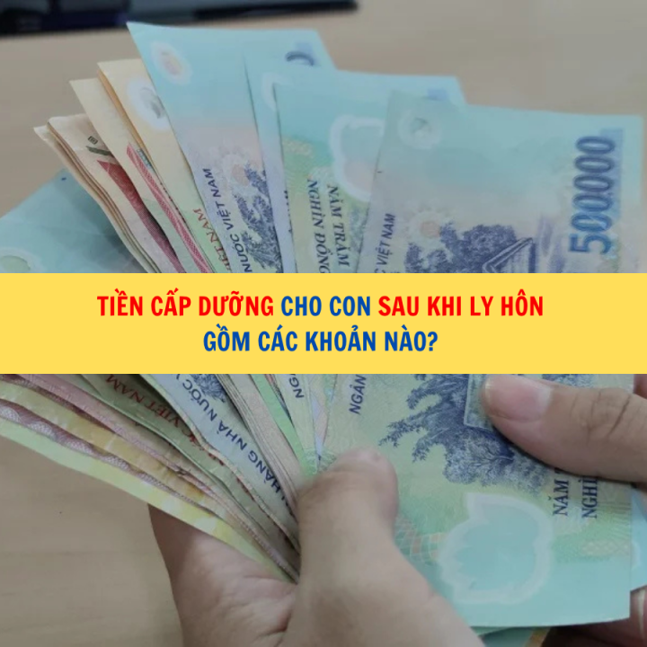 Tiền cấp dưỡng cho con sau khi ly hôn gồm các khoản nào?
