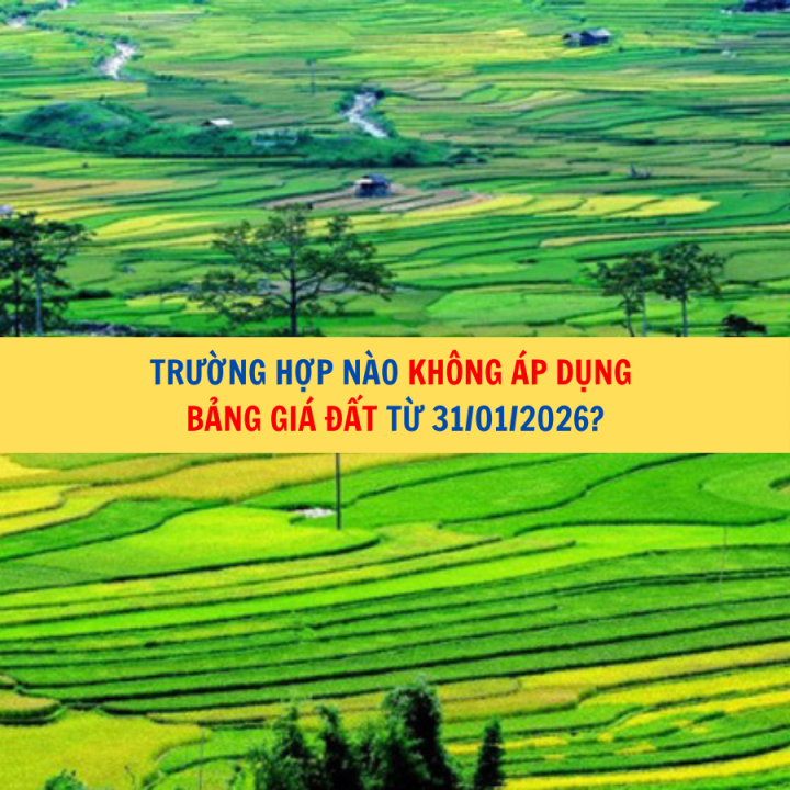 Trường hợp nào không áp dụng bảng giá đất từ 31/01/2026?