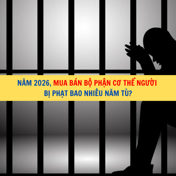 Năm 2026, mua bán bộ phận cơ thể người bị phạt bao nhiêu năm tù?